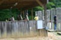 Sporting Clays Tournament 2005 37